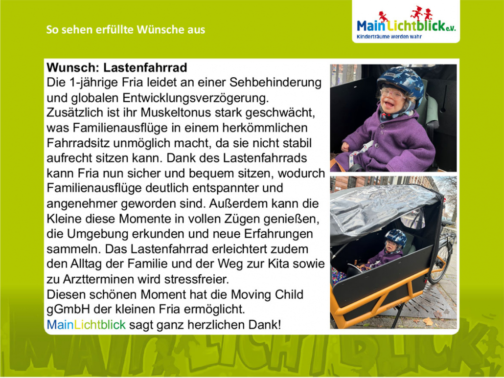 Wunsch 450 - Lastenfahrrad